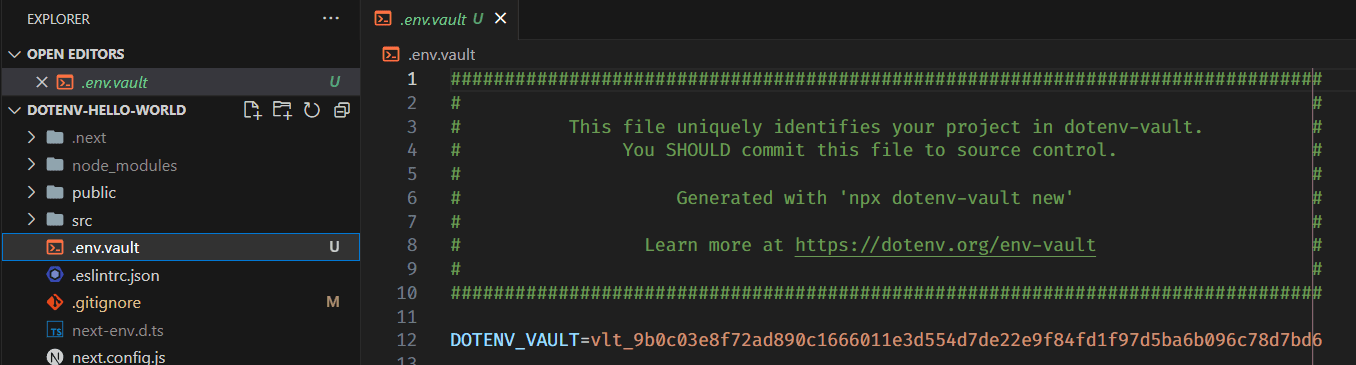 screenshot of my .env.vault