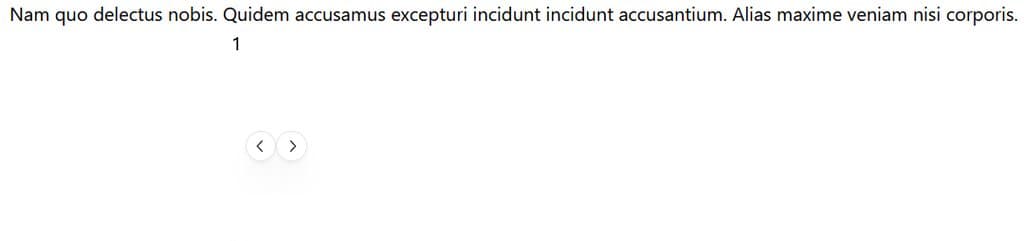 Initial look of the carousel without image