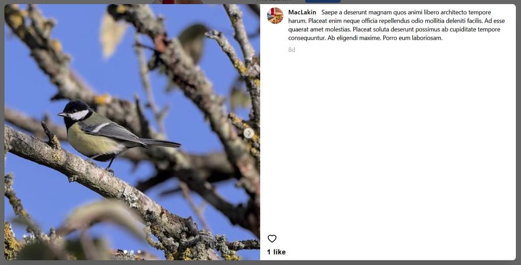 InstaNext's post modal