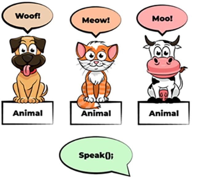 Polymorphism in animals