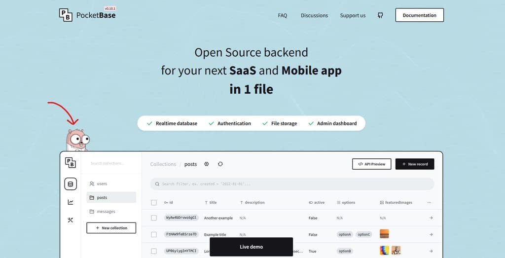 Cute Gopher from PocketBase