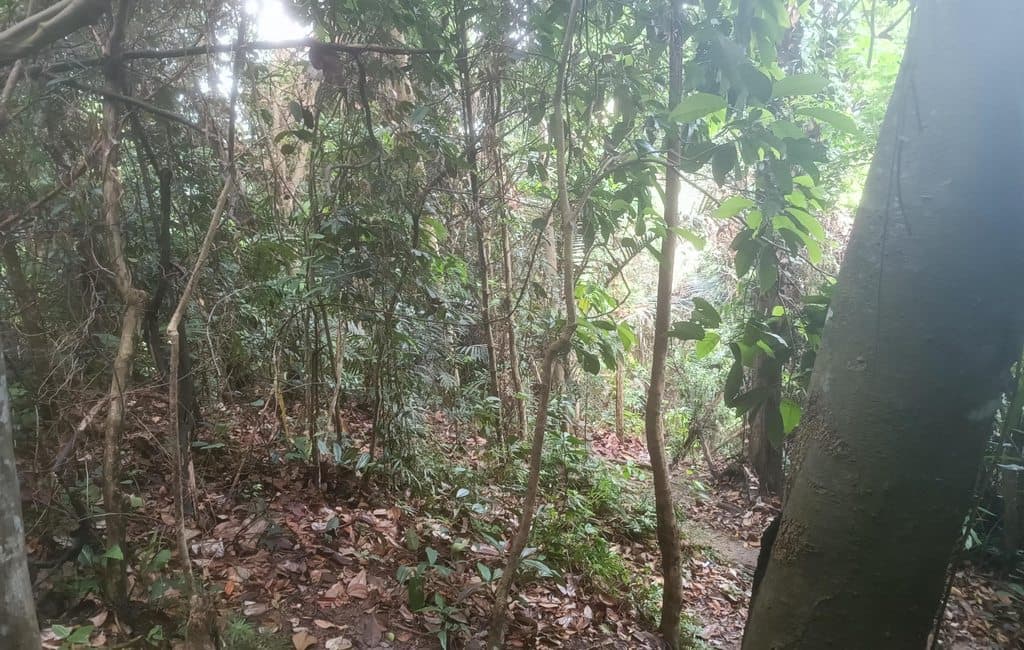 A nice picture I had from hiking